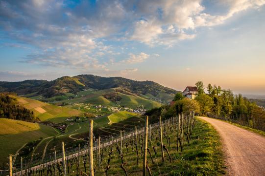 Reinigung Photovoltaikanlage